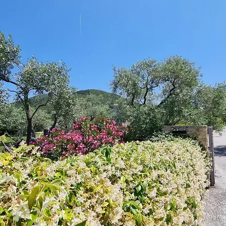 Villa Vanya
