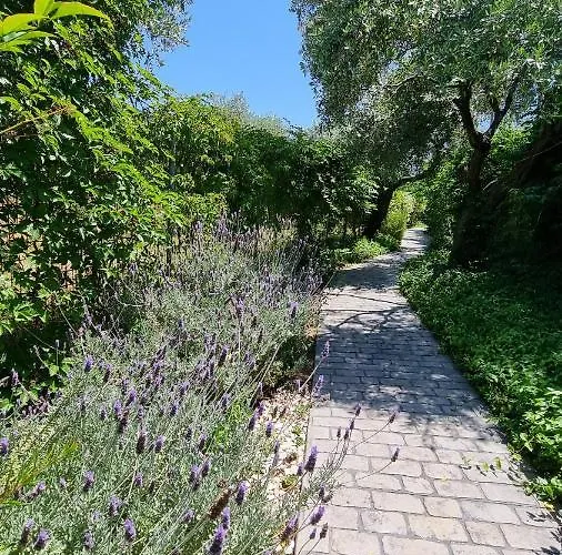 Villa Vanya *