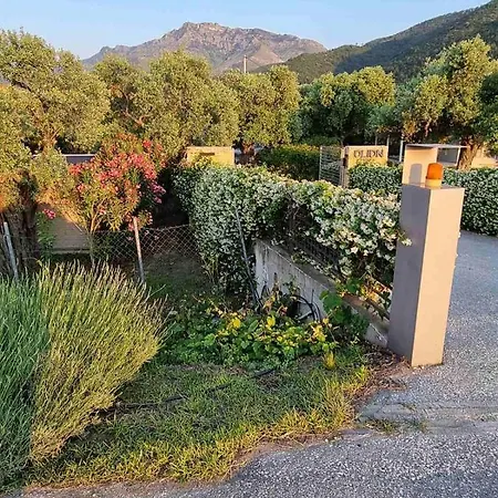 Vila Vanya