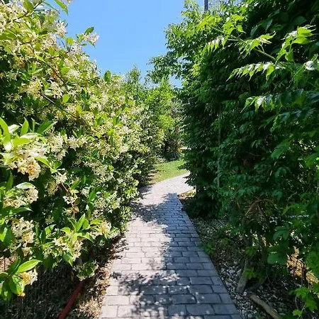 Луксозна вила Vanya *