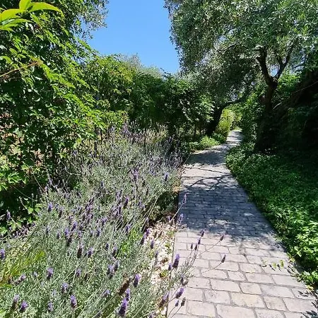Луксозна вила Vanya *