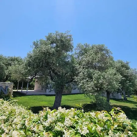 فيلة Vanya Skala Rachoni (Thasos)