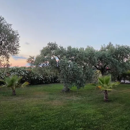 Vanya * Skala Rachoni (Thasos)