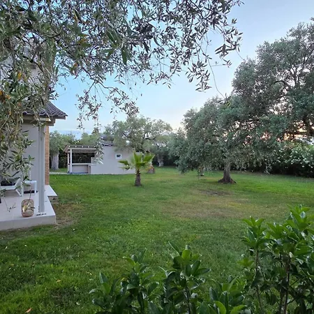 Vanya Villa