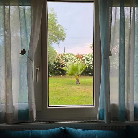 Vanya Villa *