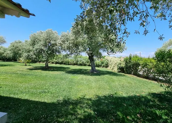 Vanya * Skala Rachoni (Thasos)